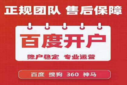 SEM广告投放的技巧与策略——成功案例分享